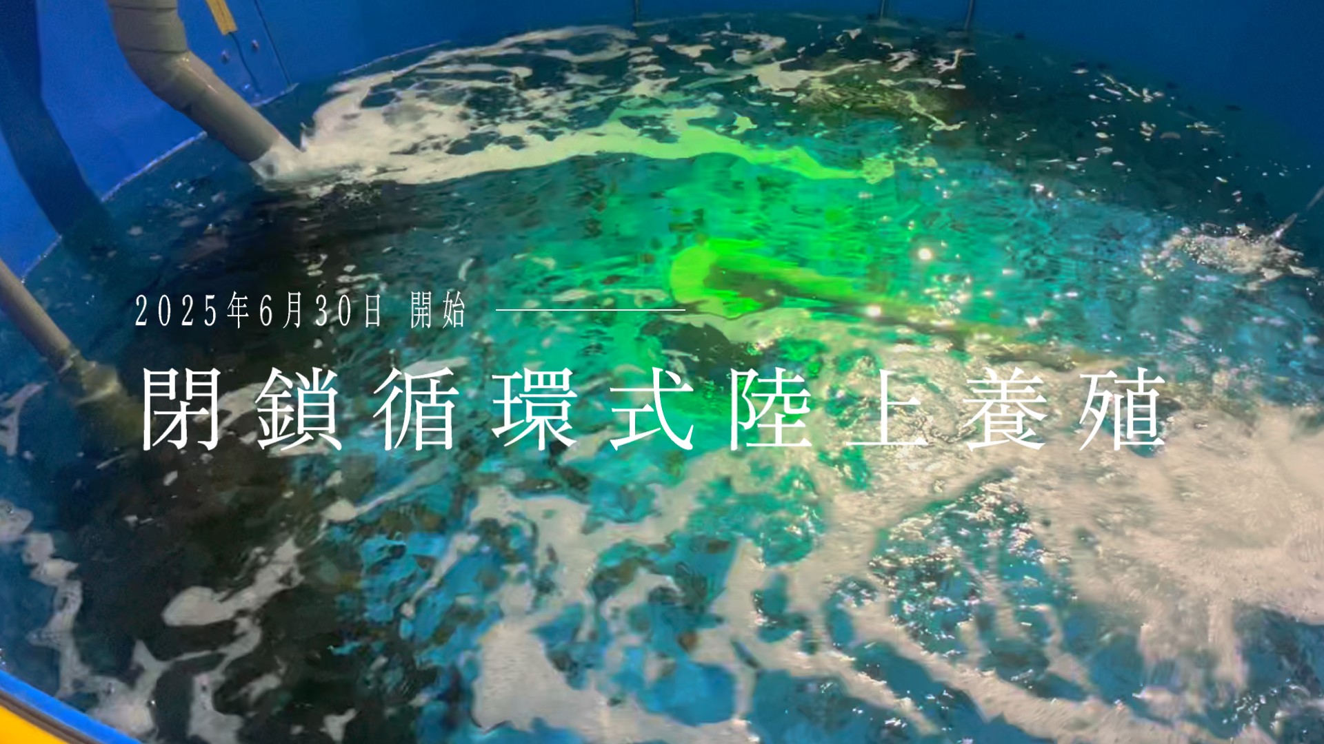 閉鎖循環式陸上養殖 開始